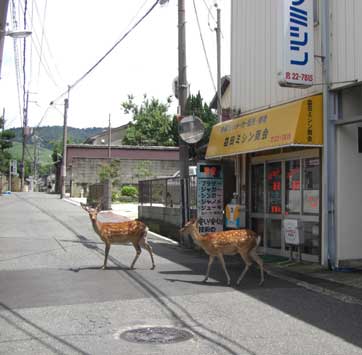 益田ミシン商会と鹿